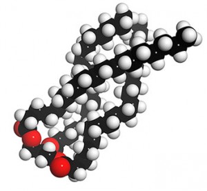 Triglyceride