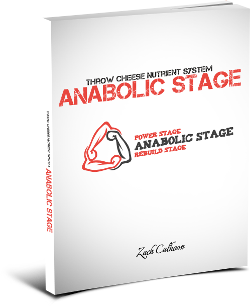 anabolic-stage